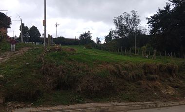 lote buenavista