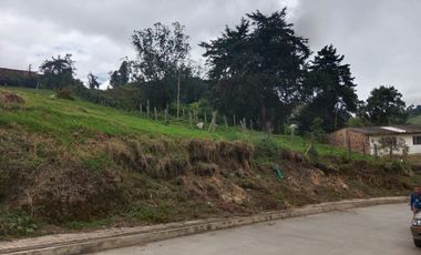 lote buenavista