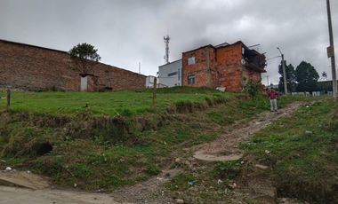 lote buenavista