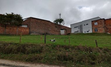 lote buenavista