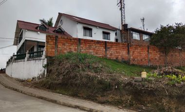 lote buenavista