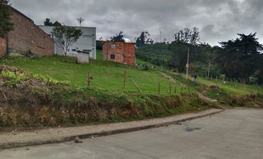 lote buenavista