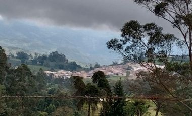 lote buenavista