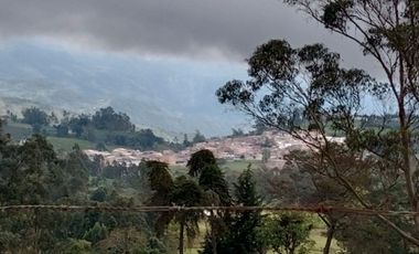 lote buenavista