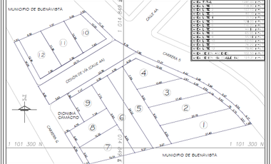 lote buenavista