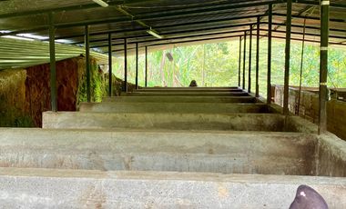 FINCA AGRÍCOLA, CON COCHERA Y MARRANERA PARA 240 LECHONES