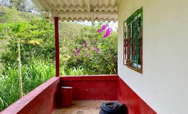 FINCA AGRÍCOLA, CON COCHERA Y MARRANERA PARA 240 LECHONES