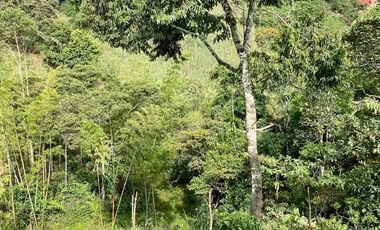 FINCA AGRÍCOLA, CON COCHERA Y MARRANERA PARA 240 LECHONES