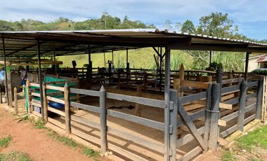 FINCA AGRÍCOLA, CON COCHERA Y MARRANERA PARA 240 LECHONES