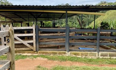 FINCA AGRÍCOLA, CON COCHERA Y MARRANERA PARA 240 LECHONES