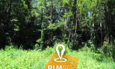 Terreno frente a 2 accesos a playa Villarrica-Pucón