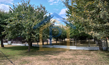 Hermoso campo de 1,25 hectáreas con casa de madera nativa y árboles frutales en Casma, Frutillar