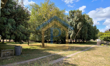 Hermoso campo de 1,25 hectáreas con casa de madera nativa y árboles frutales en Casma, Frutillar