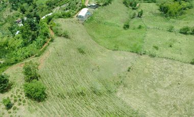 EN VENTA FINCA GANADERA DE 40 CUADRAS EN LA VIRGINIA