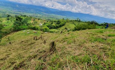 EN VENTA FINCA GANADERA DE 40 CUADRAS EN LA VIRGINIA
