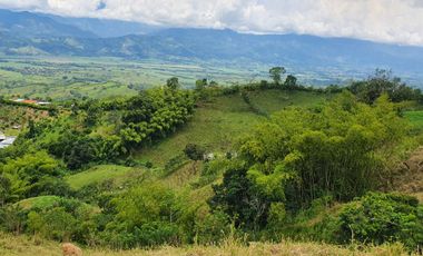 EN VENTA FINCA GANADERA DE 40 CUADRAS EN LA VIRGINIA