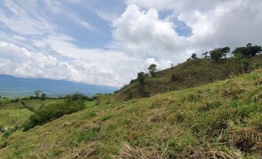 EN VENTA FINCA GANADERA DE 40 CUADRAS EN LA VIRGINIA