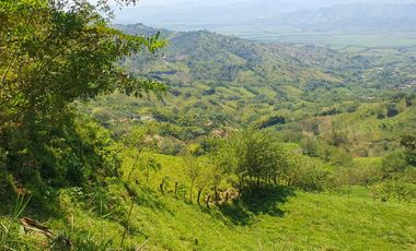 EN VENTA FINCA GANADERA DE 40 CUADRAS EN LA VIRGINIA