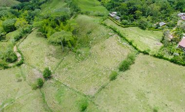 EN VENTA FINCA GANADERA DE 40 CUADRAS EN LA VIRGINIA