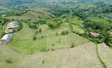 EN VENTA FINCA GANADERA DE 40 CUADRAS EN LA VIRGINIA