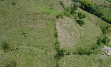 EN VENTA FINCA GANADERA DE 40 CUADRAS EN LA VIRGINIA
