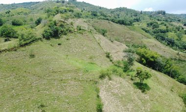 EN VENTA FINCA GANADERA DE 40 CUADRAS EN LA VIRGINIA
