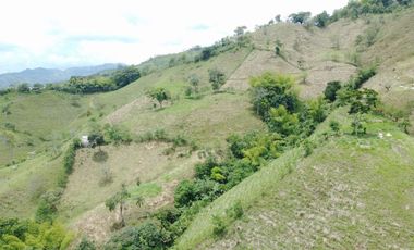 EN VENTA FINCA GANADERA DE 40 CUADRAS EN LA VIRGINIA