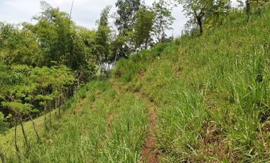 EN VENTA FINCA GANADERA DE 40 CUADRAS EN LA VIRGINIA