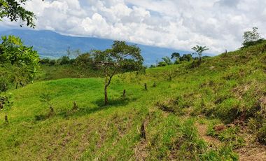 EN VENTA FINCA GANADERA DE 40 CUADRAS EN LA VIRGINIA