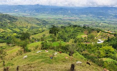 EN VENTA FINCA GANADERA DE 40 CUADRAS EN LA VIRGINIA
