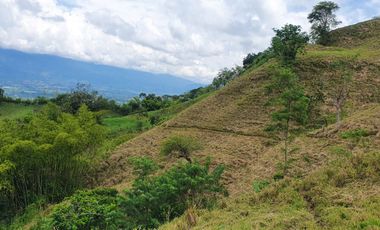 EN VENTA FINCA GANADERA DE 40 CUADRAS EN LA VIRGINIA