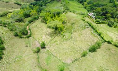 EN VENTA FINCA GANADERA DE 40 CUADRAS EN LA VIRGINIA