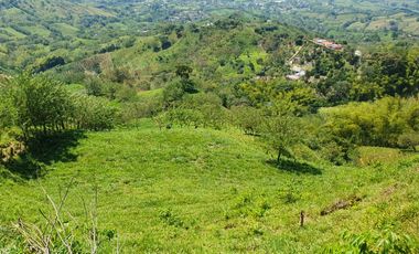 EN VENTA FINCA GANADERA DE 40 CUADRAS EN LA VIRGINIA
