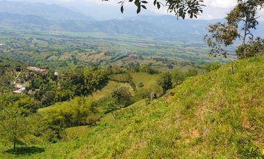 EN VENTA FINCA GANADERA DE 40 CUADRAS EN LA VIRGINIA