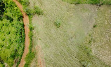 EN VENTA FINCA GANADERA DE 40 CUADRAS EN LA VIRGINIA