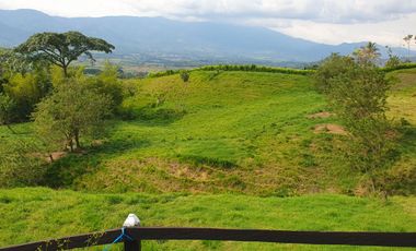 EN VENTA FINCA GANADERA DE 40 CUADRAS EN LA VIRGINIA