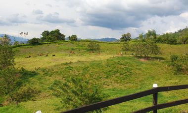 EN VENTA FINCA GANADERA DE 40 CUADRAS EN LA VIRGINIA