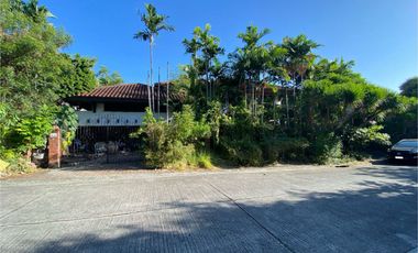 Ayala Alabang Village | House and lot For Sale - #8213