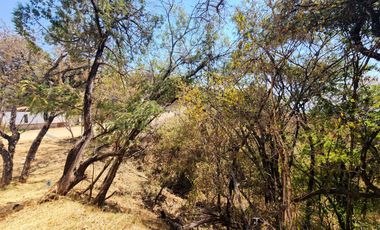 Lote “GRANADA” 76-30 MZA XIII Ubicado en Fraccionamiento Rancho San Diego, Ixtapan de la Sal Pueblo Mágico.