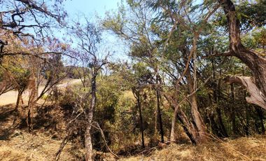 Lote “GRANADA” 76-30 MZA XIII Ubicado en Fraccionamiento Rancho San Diego, Ixtapan de la Sal Pueblo Mágico.