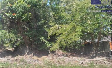 Venta de Terreno de 810 m2 frente a campo de golf palma real Ixtapa T501