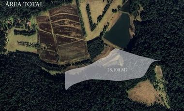PROYECTO NUEVO EN VENTA, AMENTO