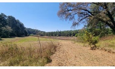 PROYECTO NUEVO EN VENTA, AMENTO