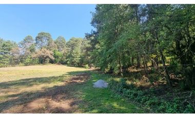 PROYECTO NUEVO EN VENTA, AMENTO