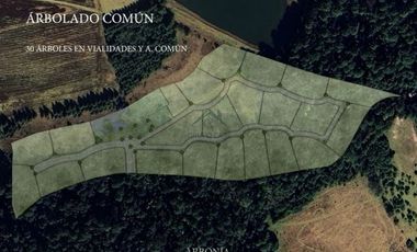 PROYECTO NUEVO EN VENTA, AMENTO