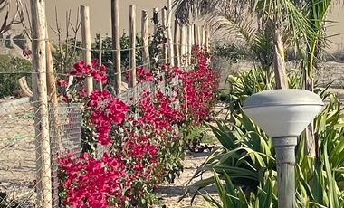 Venta De Casa En Condominio Acca Paracas