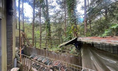 SUELLO HOUSE AND LOT FOR SALE!