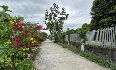 3-HECTARE FARM RESORT IN LUBAO, PAMPANGA