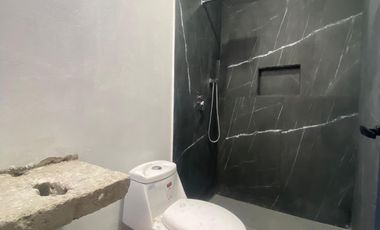 Casa en Venta, Vialidad, San Mateo, Toluca