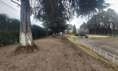 Rancho nuevo en Cacalomacan